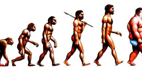 Evolution