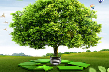 environmental-management