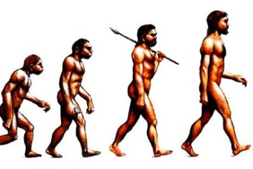 Evolution