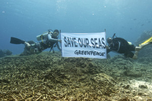 Apo Island Ocean Defender tour,  Greenpeace Esperanza